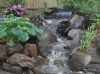 Water feature planted up
